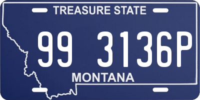 MT license plate 993136P