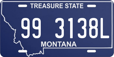 MT license plate 993138L