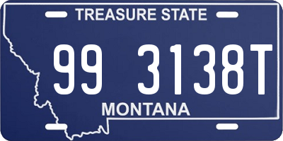 MT license plate 993138T