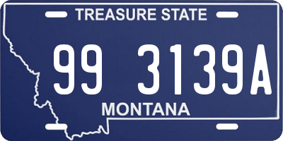 MT license plate 993139A