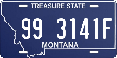 MT license plate 993141F