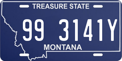 MT license plate 993141Y