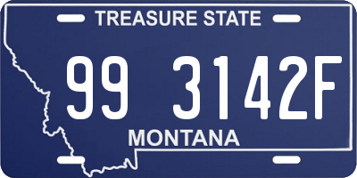 MT license plate 993142F