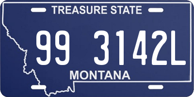 MT license plate 993142L