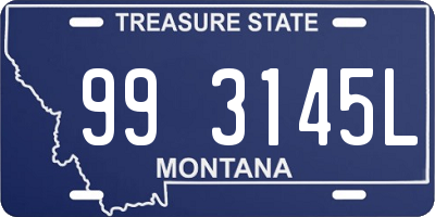 MT license plate 993145L