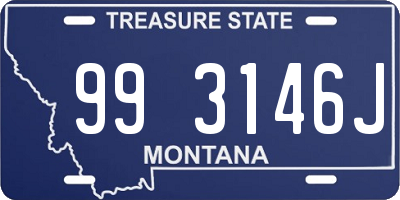 MT license plate 993146J