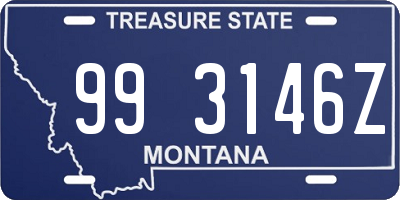 MT license plate 993146Z