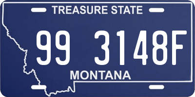MT license plate 993148F