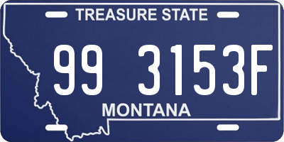 MT license plate 993153F