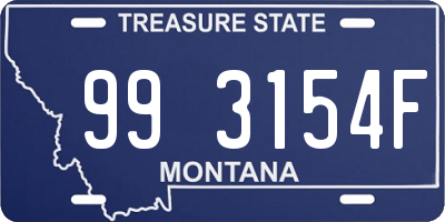 MT license plate 993154F