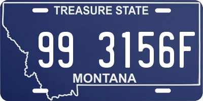 MT license plate 993156F