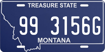 MT license plate 993156G