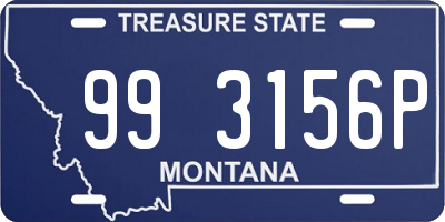 MT license plate 993156P