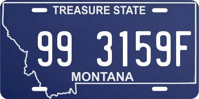 MT license plate 993159F