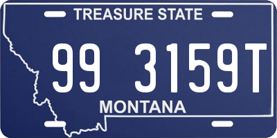 MT license plate 993159T