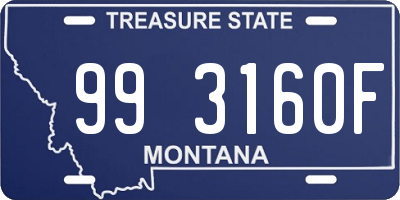 MT license plate 993160F