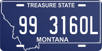 MT license plate 993160L