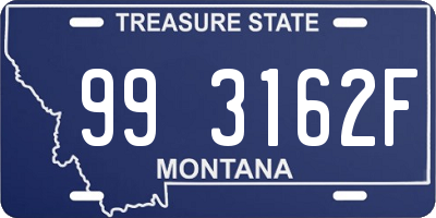 MT license plate 993162F