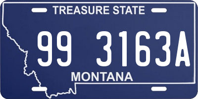 MT license plate 993163A