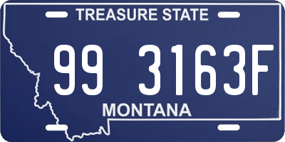 MT license plate 993163F