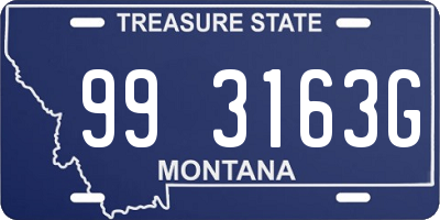 MT license plate 993163G