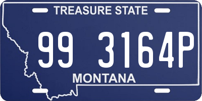 MT license plate 993164P