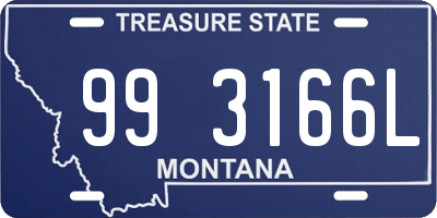 MT license plate 993166L