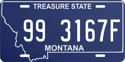 MT license plate 993167F