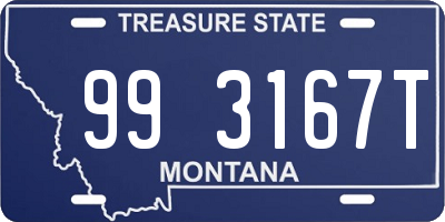 MT license plate 993167T
