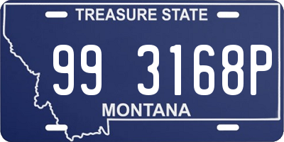 MT license plate 993168P