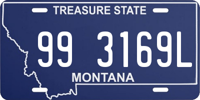 MT license plate 993169L