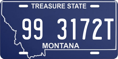 MT license plate 993172T