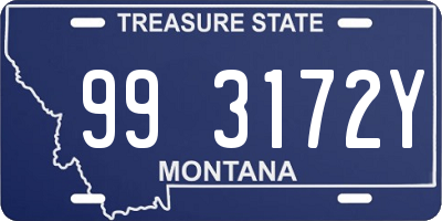 MT license plate 993172Y