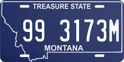 MT license plate 993173M