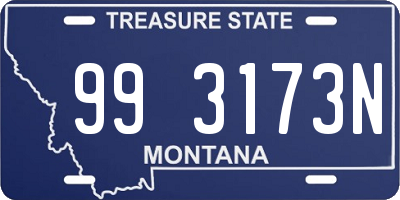 MT license plate 993173N