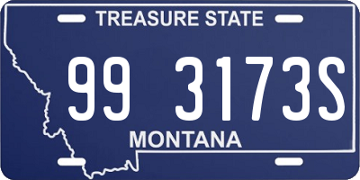 MT license plate 993173S