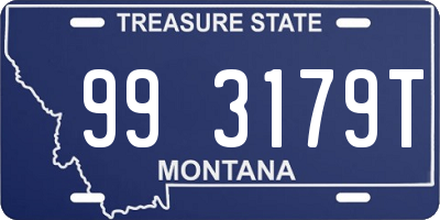 MT license plate 993179T