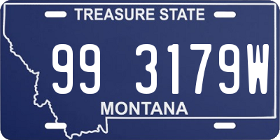 MT license plate 993179W