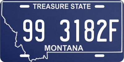 MT license plate 993182F