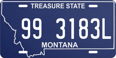 MT license plate 993183L