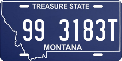 MT license plate 993183T