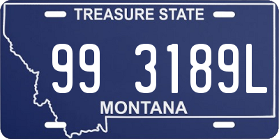 MT license plate 993189L