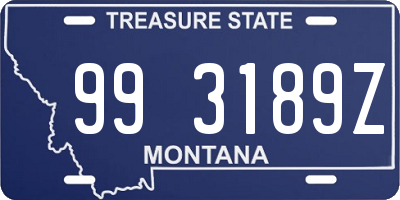 MT license plate 993189Z