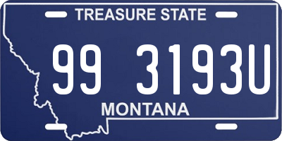 MT license plate 993193U