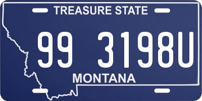 MT license plate 993198U