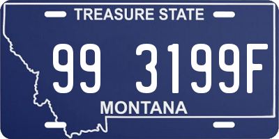 MT license plate 993199F