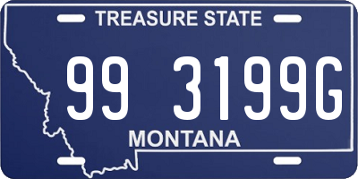 MT license plate 993199G