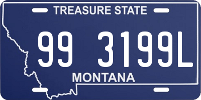 MT license plate 993199L