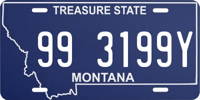 MT license plate 993199Y