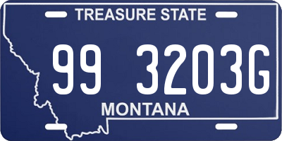 MT license plate 993203G